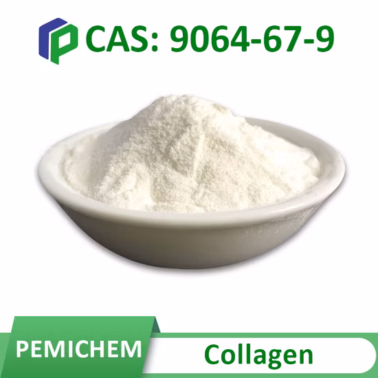 Produzione Fornitura 99% di materie prime cosmetiche pure in polvere di acido tranexamico CAS 1197